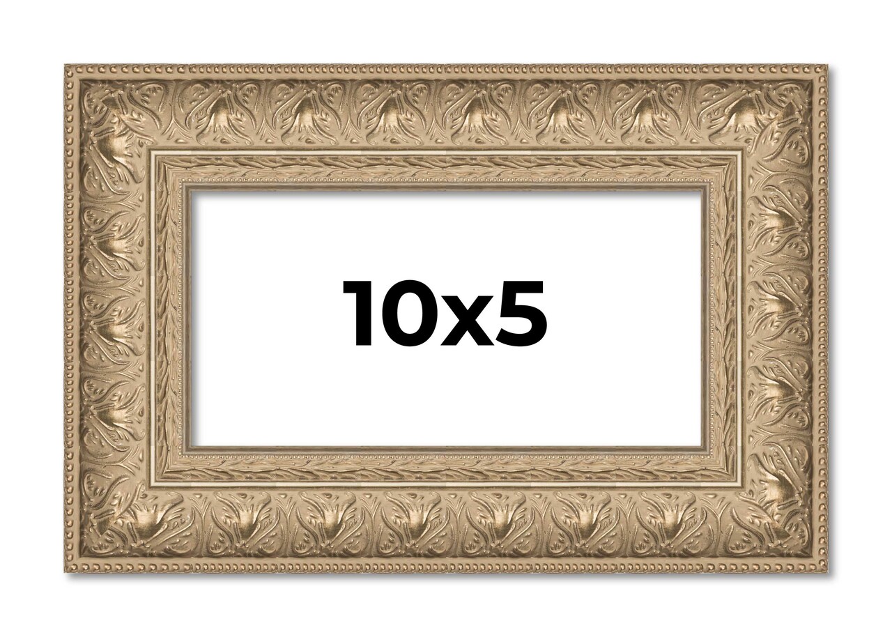 Panoramic Museum Silver Picture Frame - UV Acrylic, Foam Board Backing, Hanging Hardware